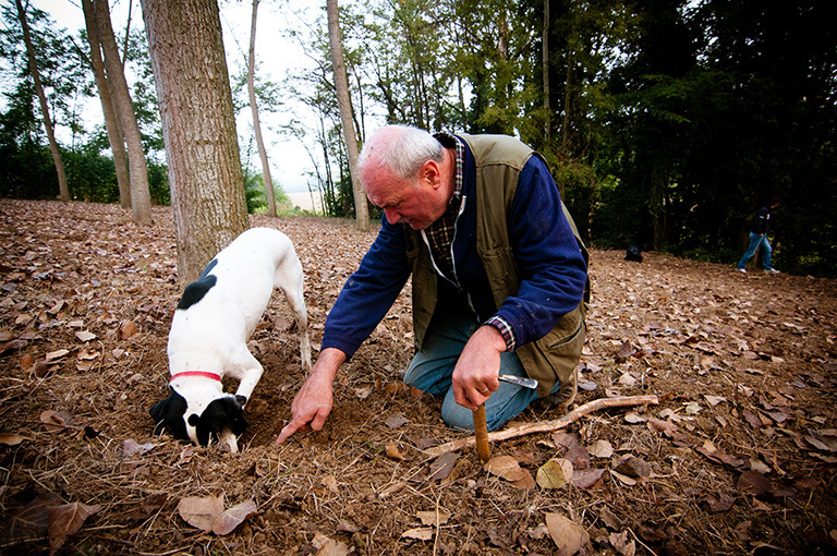 Monferrato Truffle Hunting